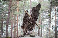 Curiosité Fontainebleau 6
